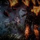 The Last of Us Part II